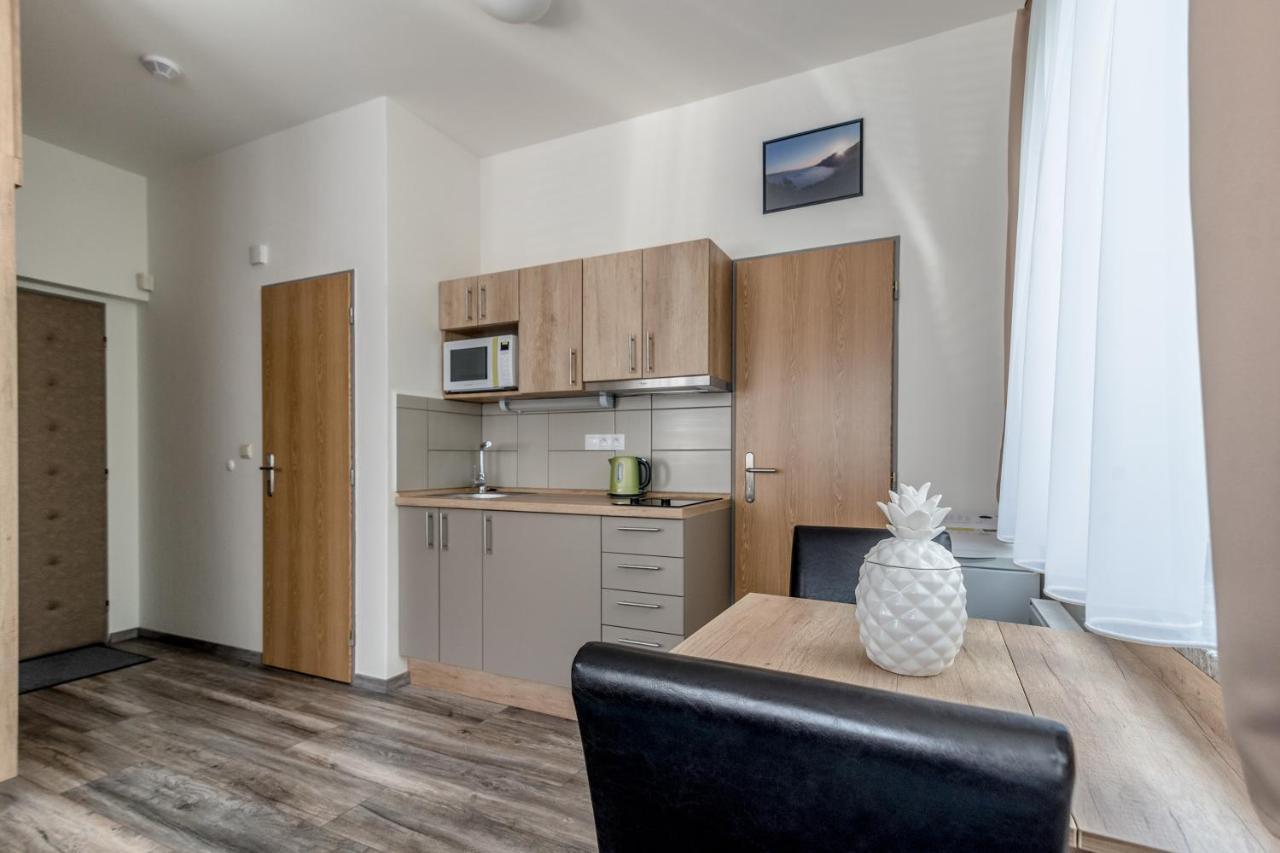 Modern Fully Equipped Studio With Parking Zavadilka 2620 تشيسكي بوديوفيتسه المظهر الخارجي الصورة